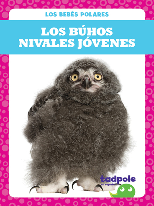 Cover image for Los búhos nivales jóvenes (Snowy Owlets)